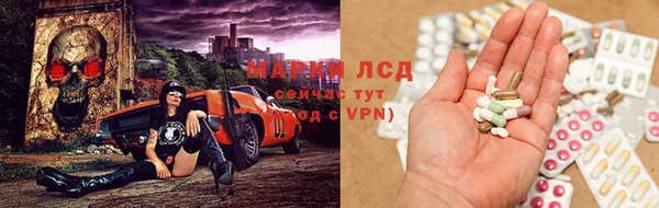 сатива Алзамай