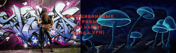прущая мука Арсеньев