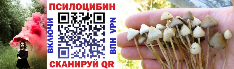 где найти   Нарткала  OMG зеркало  Галлюциногенные грибы Psilocybe 