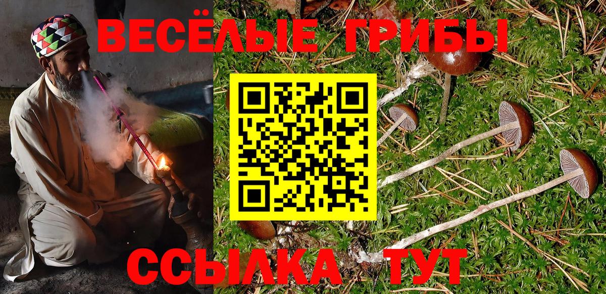 Кокаин  МДМА  Нарткала  ГАШ  Вход с VPN  Мефедрон   ГАШИШ  Бошки Шишки 