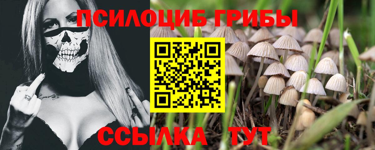 Галлюциногенные грибы MAGIC MUSHROOMS Нарткала