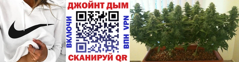 как найти наркотики  Нарткала  МАРИХУАНА план 