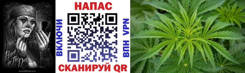 Бошки Шишки тримм Нарткала